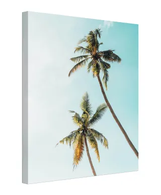 Palmy w Słońcu - obraz na płótnie