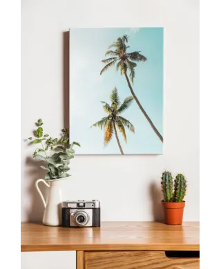 Palmy w Słońcu - obraz na płótnie