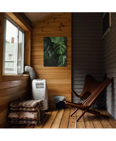 Zielona Monstera - obraz na płótnie