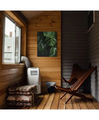 Zielona Monstera - obraz na płótnie