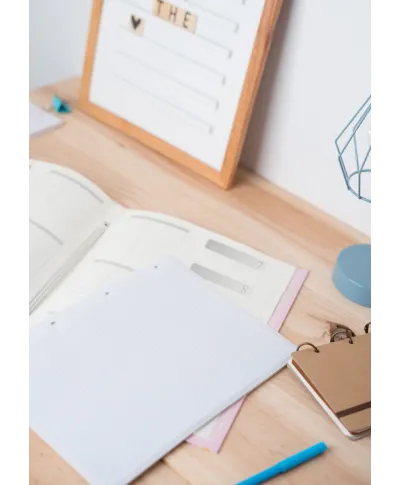 Pusheen Rose Collection - teczka A4