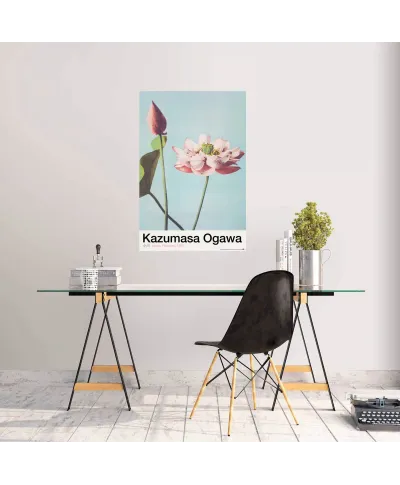 Lotus Flowers - plakat