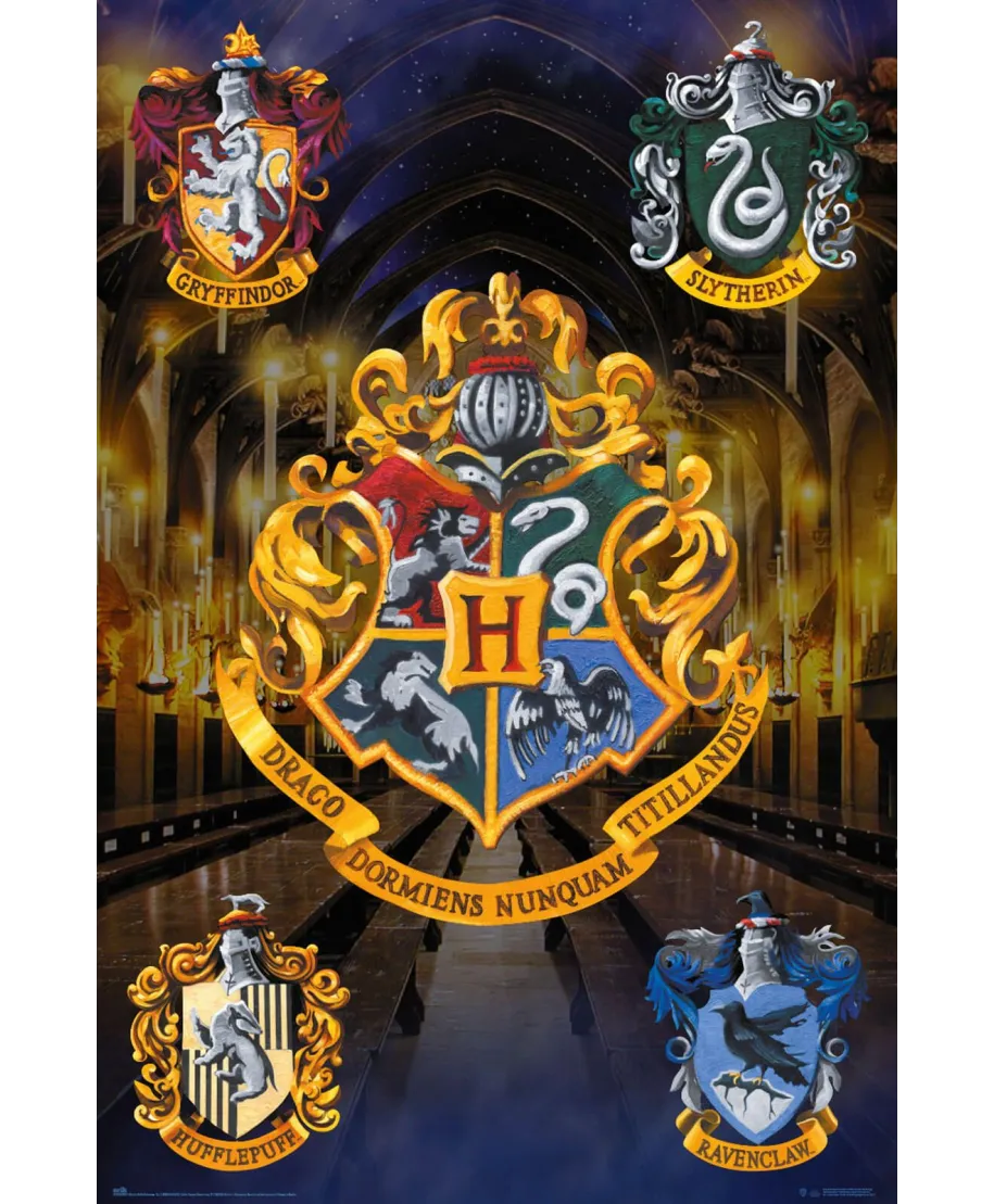 Harry Potter Hogwarts - plakat