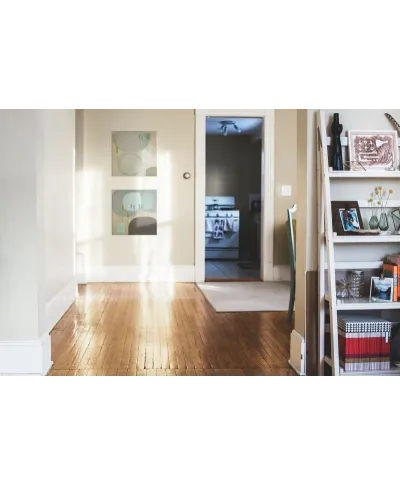 Sacred Arbor - Obraz na płótnie