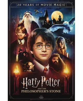 Harry Potter 20 Years Of Movie Magic - plakat