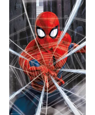 Spider-Man Gotcha - plakat