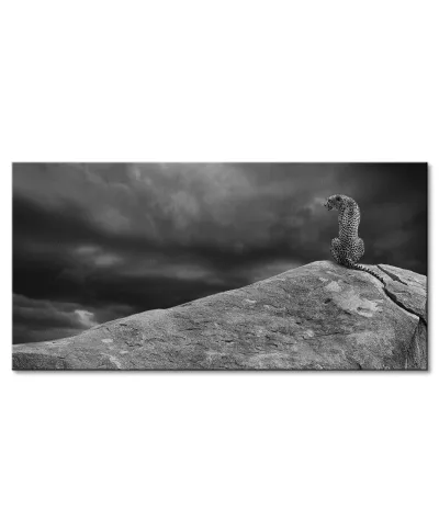 Cheetah on The Rocks - obraz na płótnie