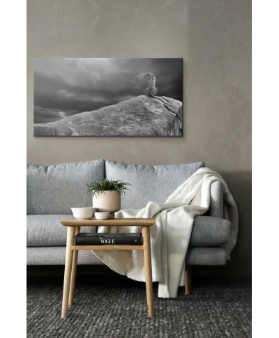 Cheetah on The Rocks - obraz na płótnie