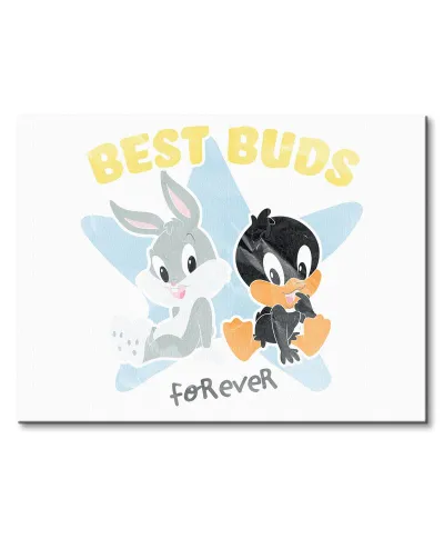 Looney Tunes Best Buds Forever - obraz na płótnie