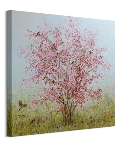 Early Blossom - obraz na płótnie