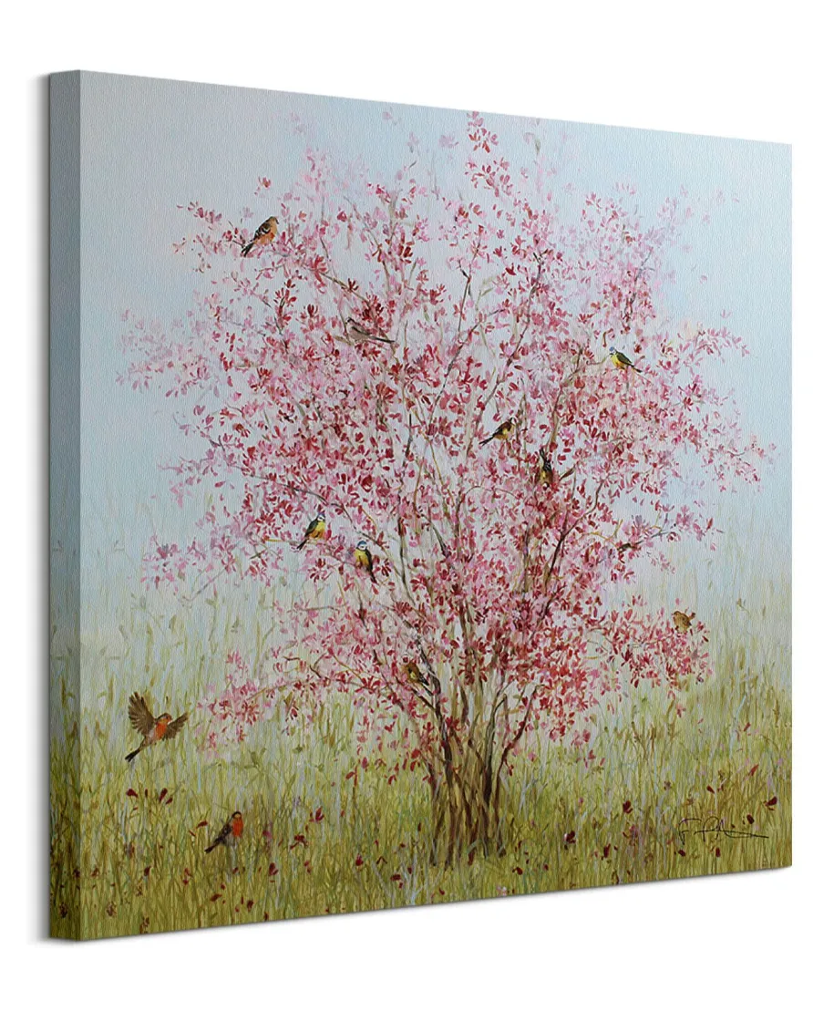 Early Blossom - obraz na płótnie