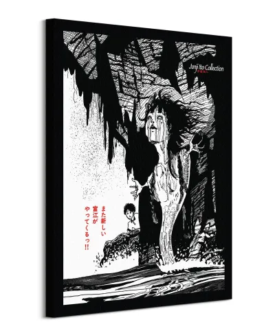 Junji Ito Tomie Regeneration - obraz na płótnie