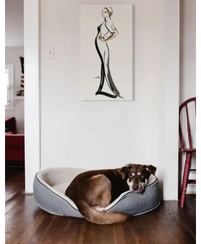 Obraz na ścianę - Ysolda - 100x50 cm