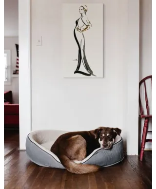 Obraz na ścianę - Ysolda - 100x50 cm