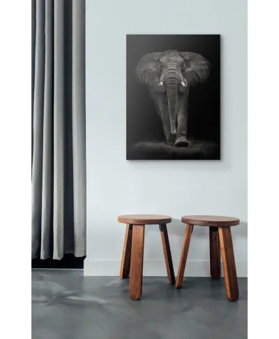 Ngorongoro Bull - obraz na płótnie