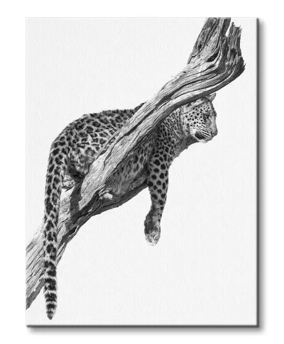 Okavango Art - obraz na płótnie