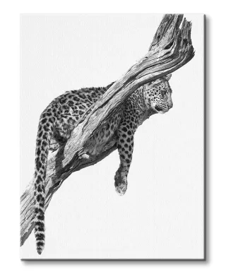 Okavango Art - obraz na płótnie