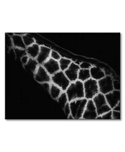 African Art - obraz na płótnie