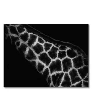 African Art - obraz na płótnie