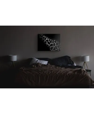 African Art - obraz na płótnie