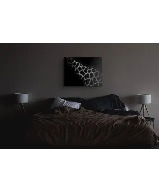 African Art - obraz na płótnie