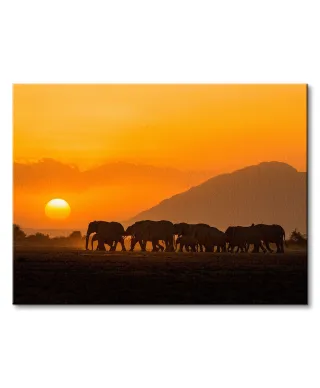 Amboseli Sunset - obraz na płótnie