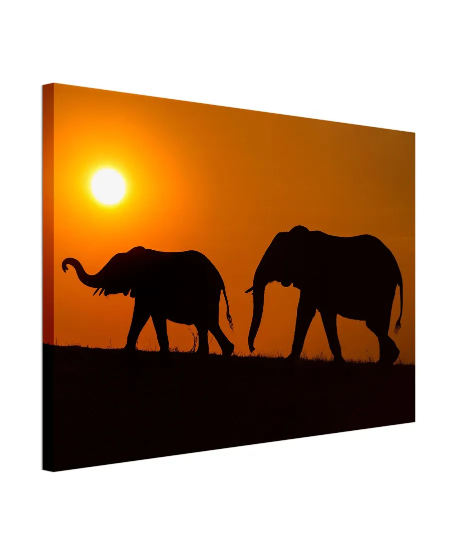 Chobe Silhouettes - obraz na płótnie