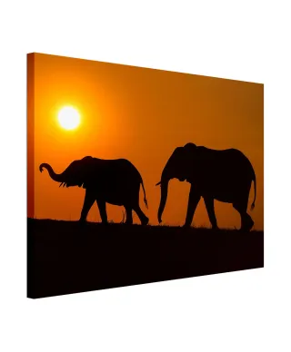 Chobe Silhouettes - obraz na płótnie