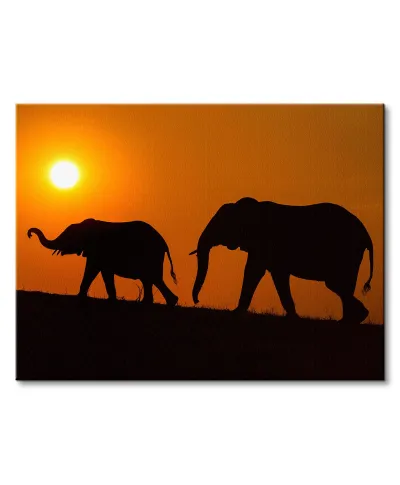 Chobe Silhouettes - obraz na płótnie