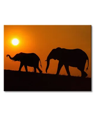 Chobe Silhouettes - obraz na płótnie