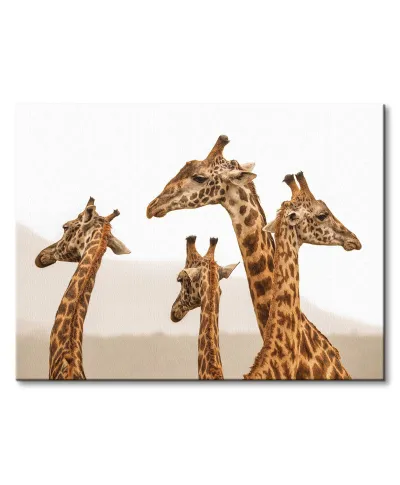 Long Necks - obraz na płótnie