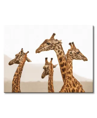 Long Necks - obraz na płótnie