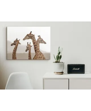 Long Necks - obraz na płótnie