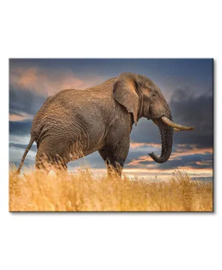 The Elephant - obraz na płótnie