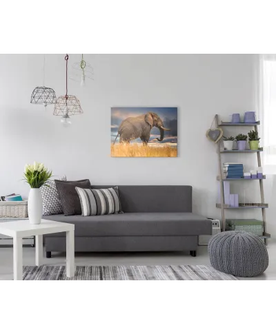 The Elephant - obraz na płótnie