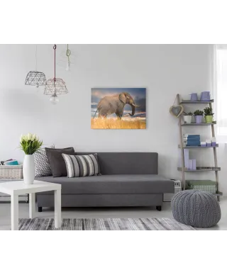 The Elephant - obraz na płótnie