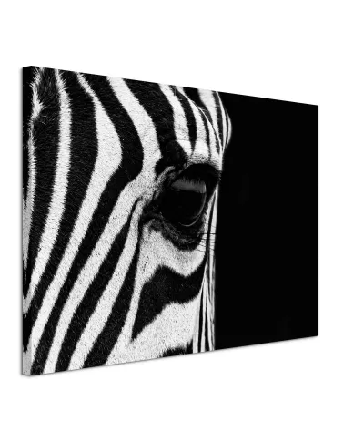 Zebra Eye - obraz na płótnie