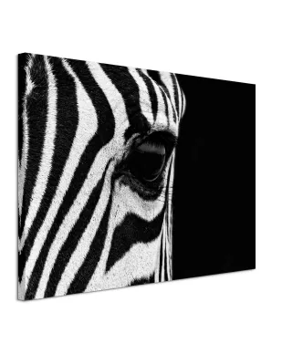 Zebra Eye - obraz na płótnie