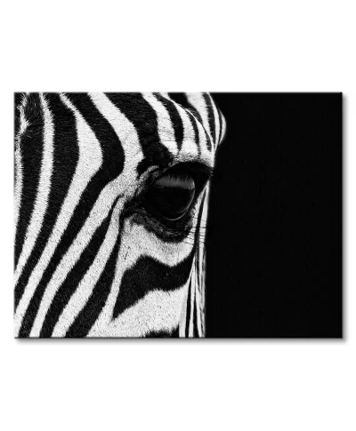 Zebra Eye - obraz na płótnie