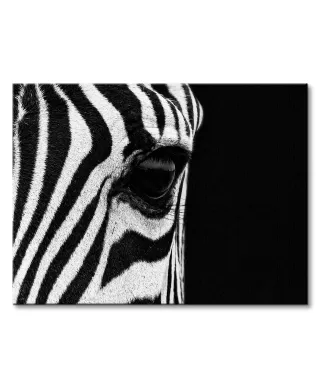 Zebra Eye - obraz na płótnie