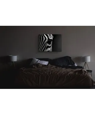 Zebra Eye - obraz na płótnie