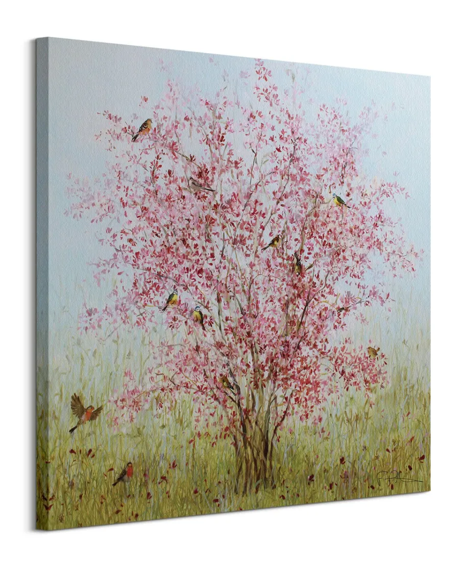 Early Blossom - obraz na płótnie