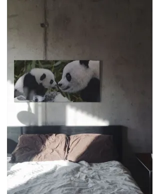 Panda Bear With Cub - Obraz na płótnie
