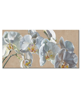 Obraz na płótnie - Orchidea - White Hats - 50x100 cm