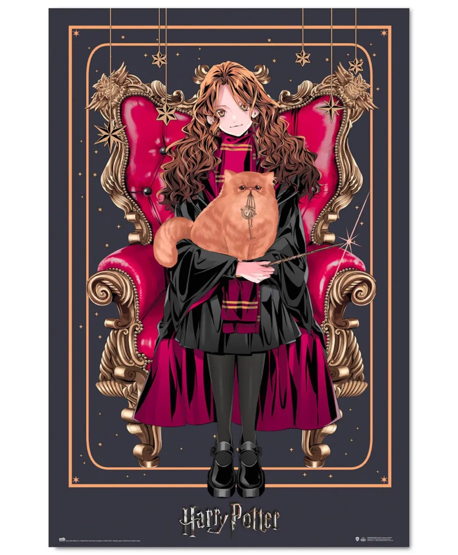 Harry Potter Wizard Dynasty Hermione Granger - plakat