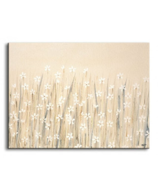 Field Of Starry White Flowers - Obraz na płótnie