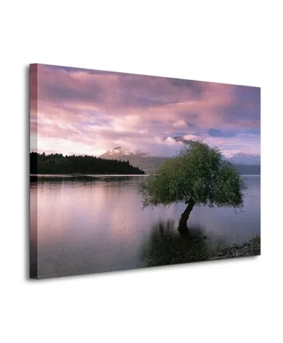 Obraz na płótnie - South Island, New Zealand - 80x60 cm