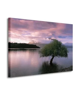 Obraz na płótnie - South Island, New Zealand - 80x60 cm