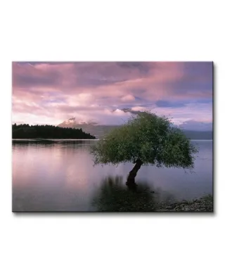 Obraz na płótnie - South Island, New Zealand - 80x60 cm