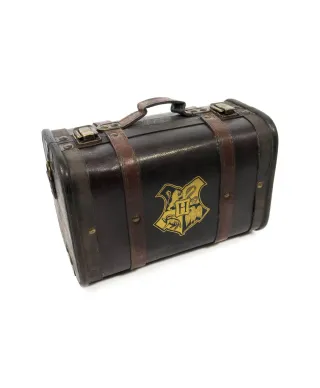 Harry Potter Trouble Finds Me - zestaw prezentowy